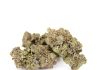 Peanut Butter Rockstar Strain: A Bold and Flavorful Canadian Favourite Peanut Butter Rockstar Strain